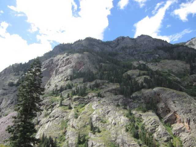 IMG_4469.JPG